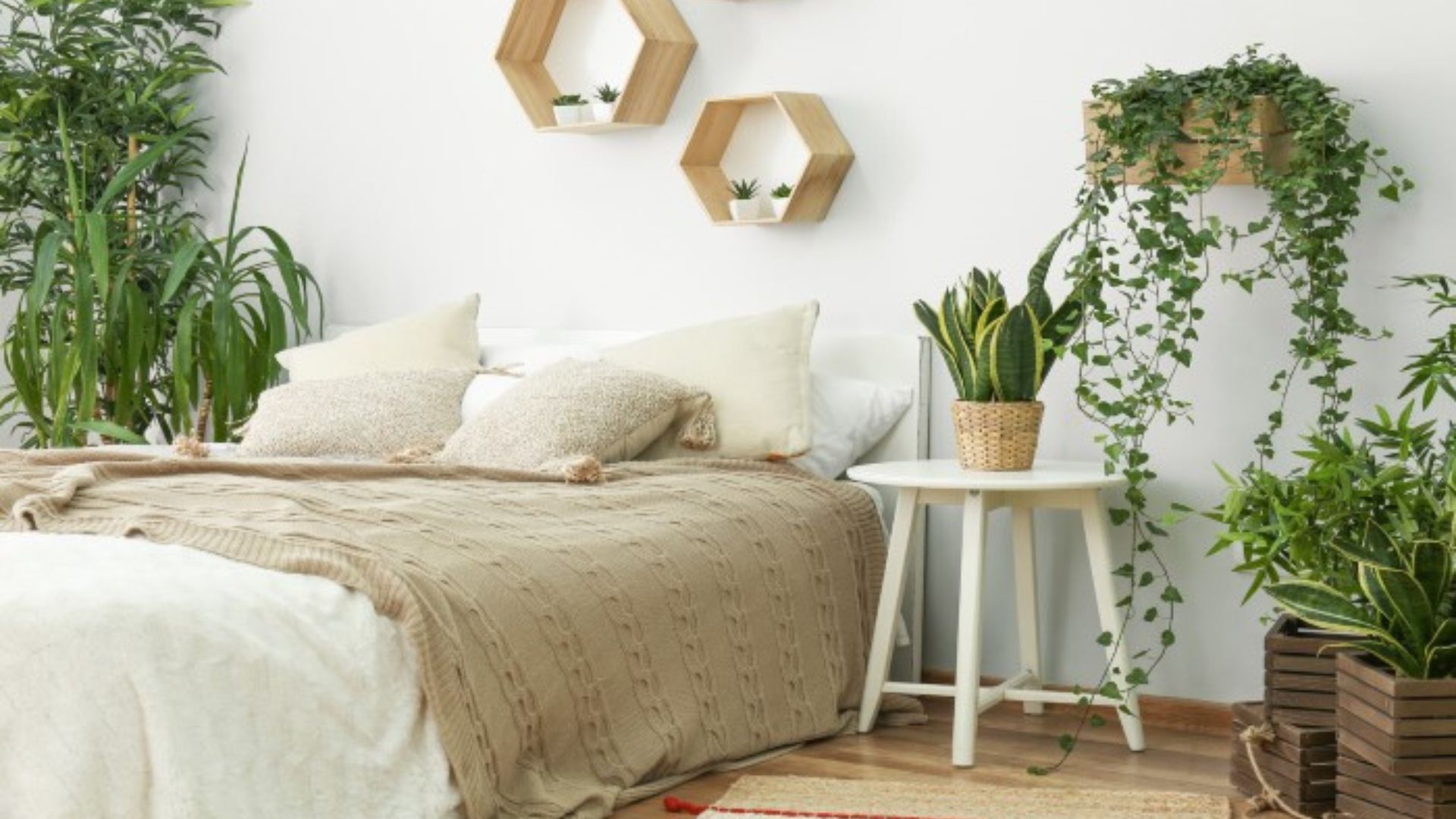 Apartments Decorated With Indoor Plants