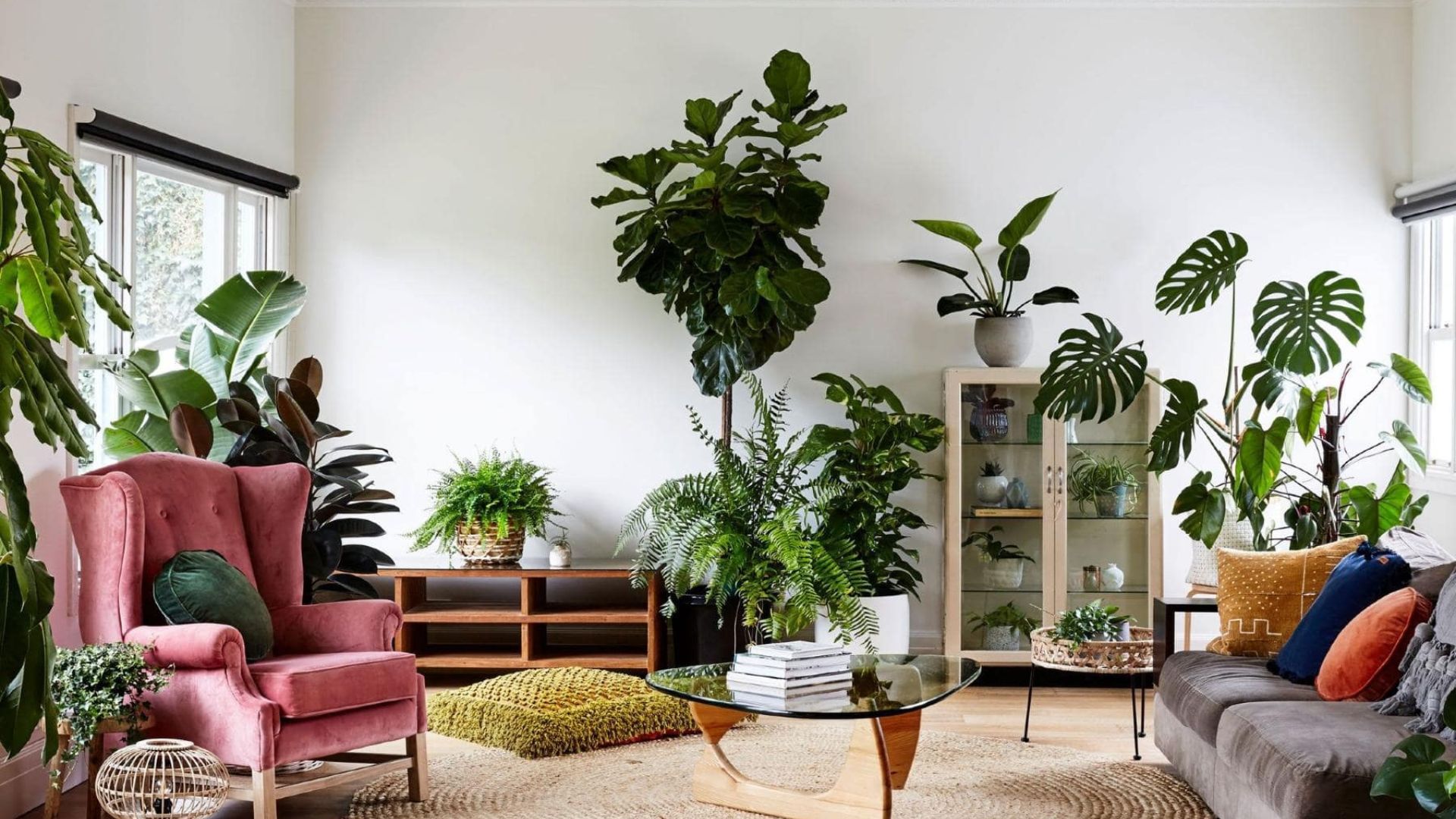 Apartments Decorated With Indoor Plants