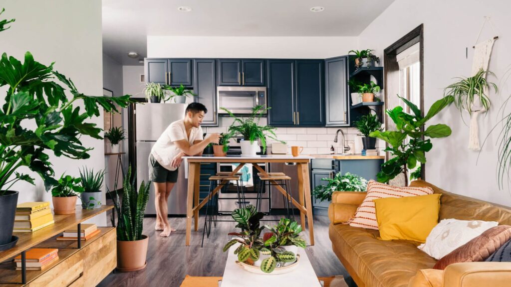 Apartments Improved With Indoor Plants Arrangement.