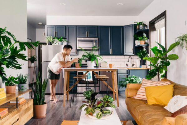 Apartments Improved With Indoor Plants Arrangement Apartments Improved With Indoor Plants Arrangement.