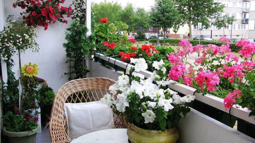 Fast Growing Options For Outdoor Plants.