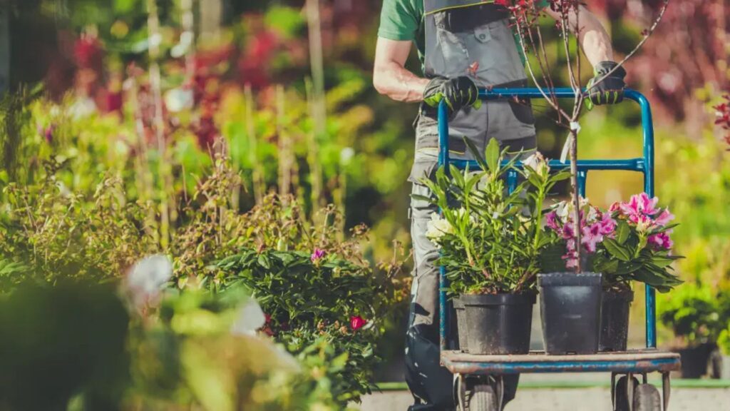 Building Customer Loyalty for Your Plant Nursery Business (1)