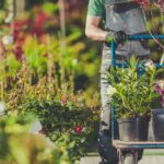 Building Customer Loyalty for Your Plant Nursery Business (1)