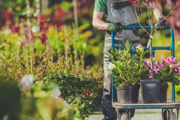 Building Customer Loyalty for Your Plant Nursery Business Building Customer Loyalty for Your Plant Nursery Business (1)