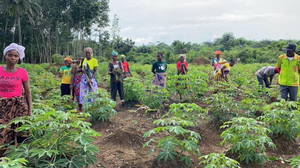 Challenges Facing Green Farmers in Developing Countries