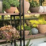Creative DIY Indoor Plant Shelves and Stands (1)