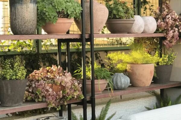 Creative DIY Indoor Plant Shelves and Stands Creative DIY Indoor Plant Shelves and Stands (1)