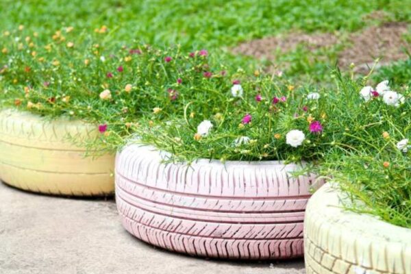 DIY Outdoor Vertical Garden Ideas Using Recycled Materials