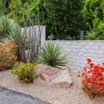 Drought Resistant Outdoor Plants Ideas.