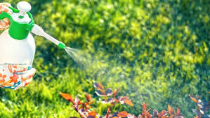 Eco-friendly pest control methods
