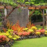 Fast Growing Options For Outdoor Plants.