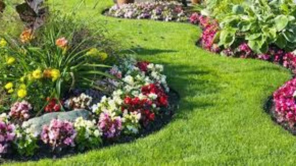 Garden-friendly ground covers.