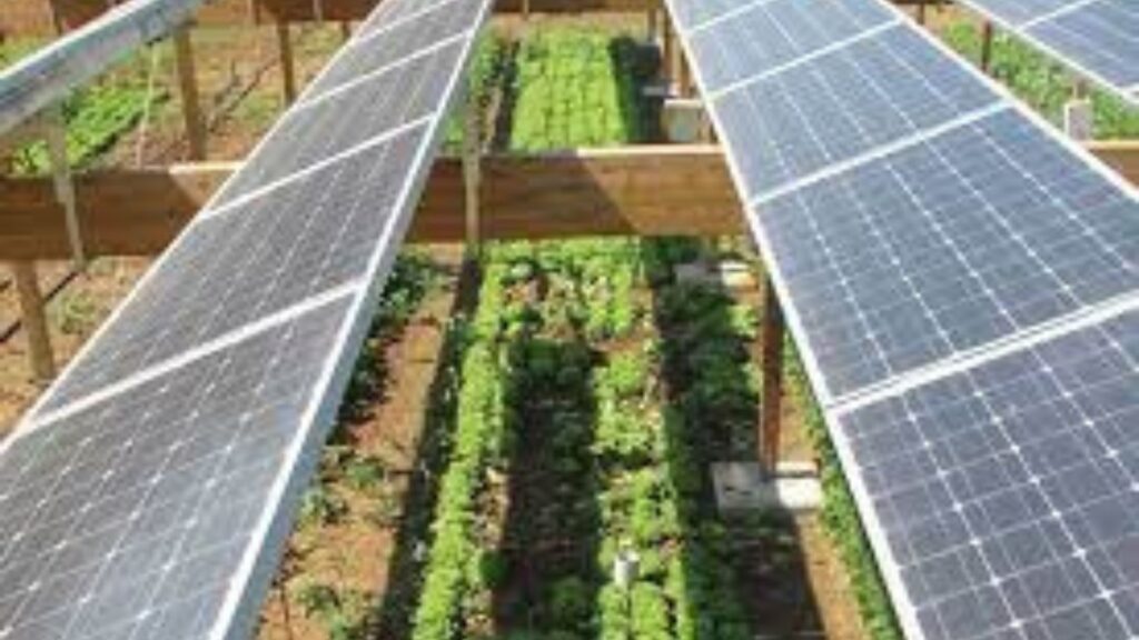 Green energy solutions for farms