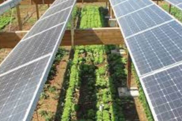 Green energy solutions for farms
