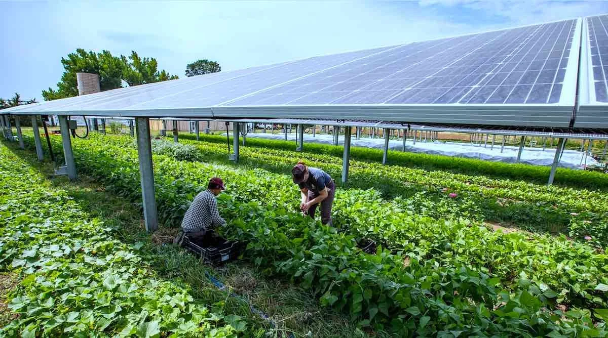 Green energy solutions for farms