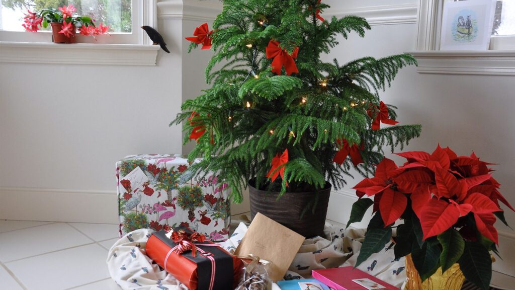 Holiday-Themed Plant Decorations for Every Season