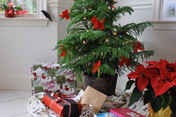 Holiday-Themed Plant Decorations for Every Season