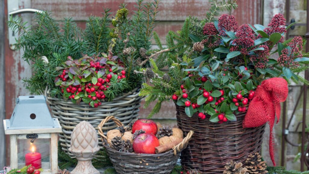 Holiday-Themed Plant Decorations for Every Season