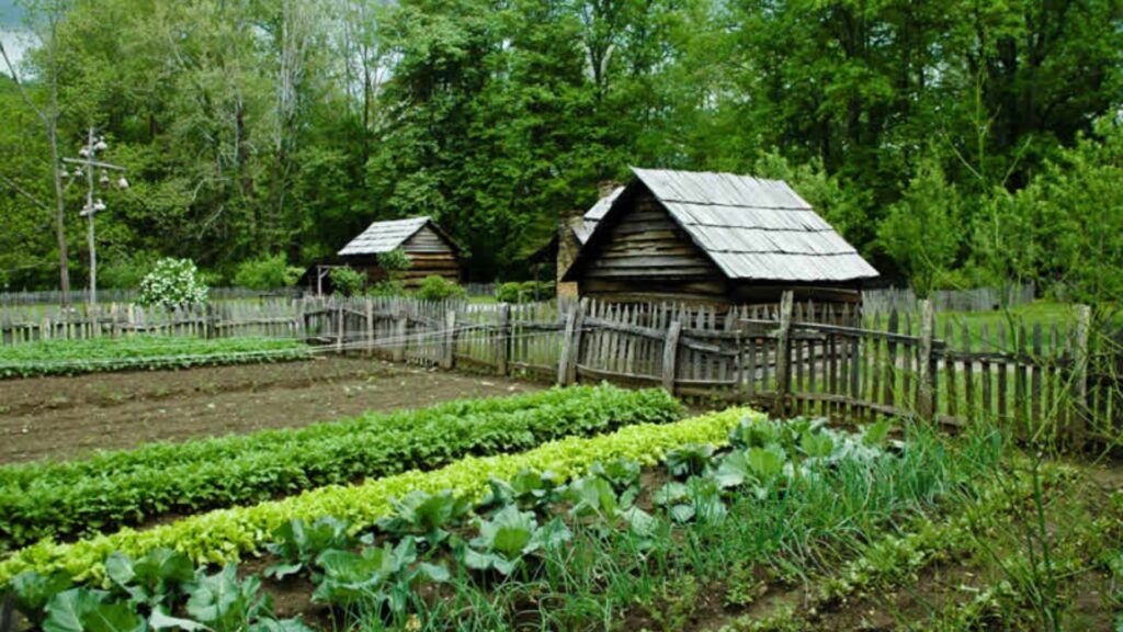 How Green Farming Supports Biodiversity