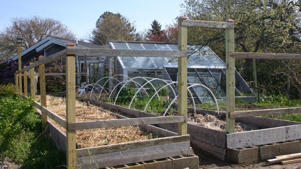 How to Build a Raised Bed for Outdoor Gardening