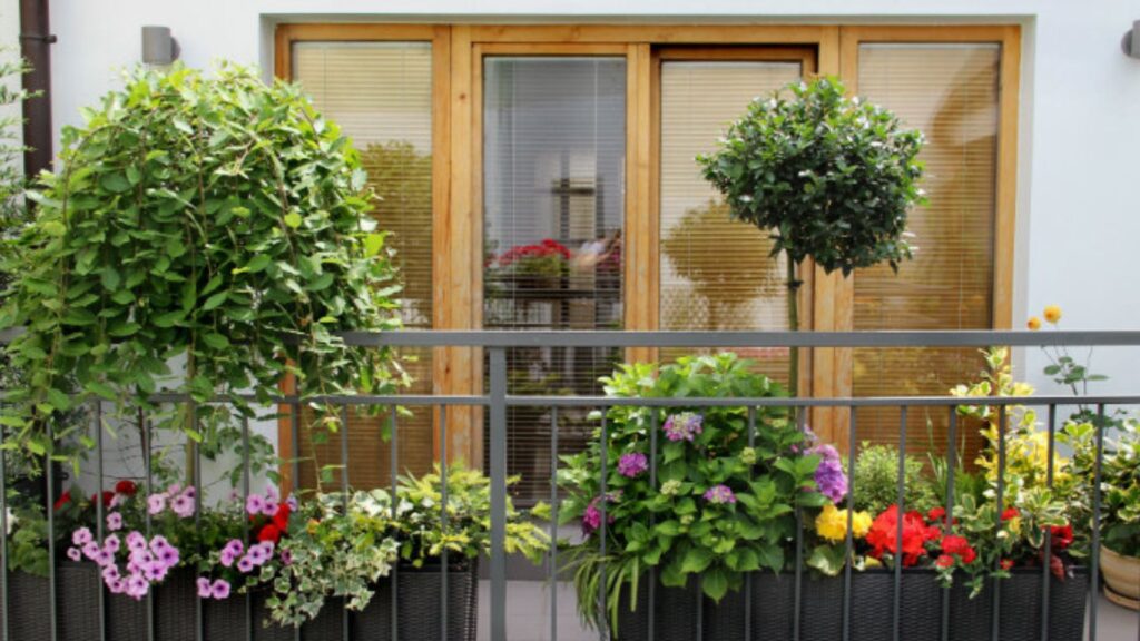 How to Create a Balcony Garden with Outdoor Plants