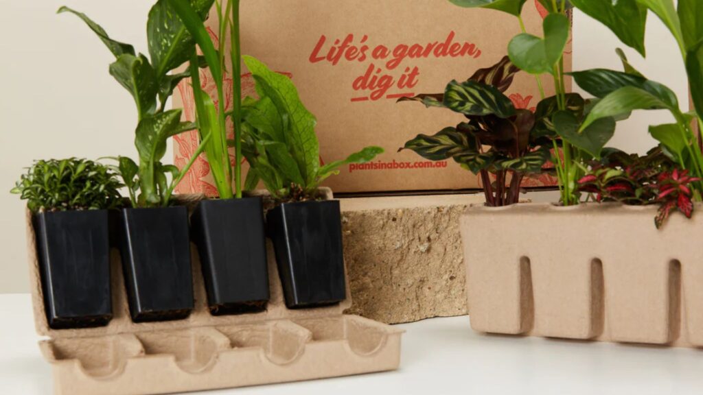 How to Package Plants for Delivery Without Damage