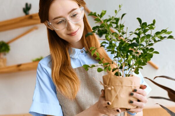 How to Start a Profitable Plant Nursery at Home (1)