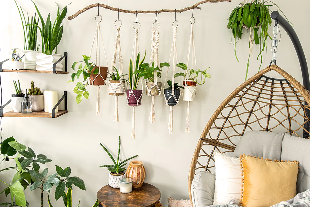 Indoor hanging plant ideas