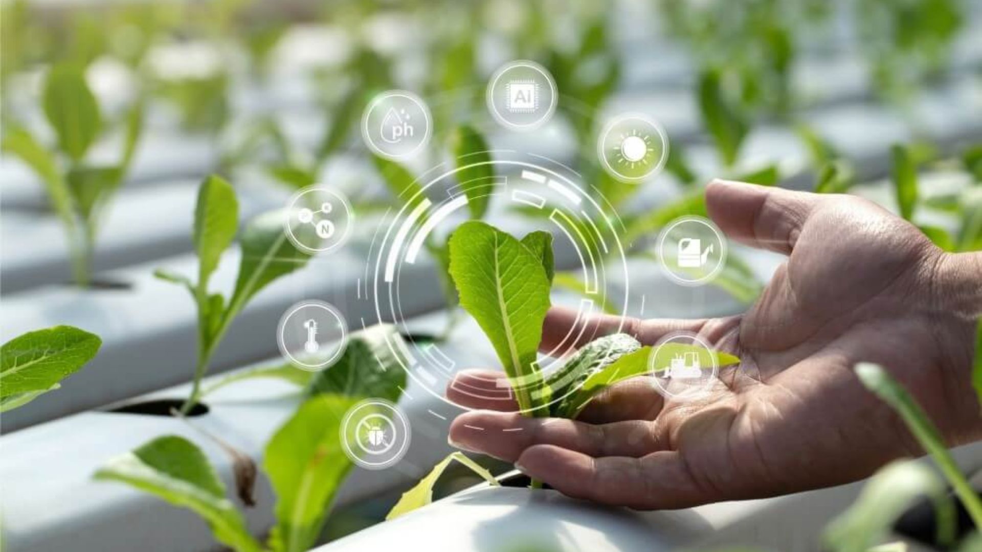 Innovations Driving Green Farming Solutions