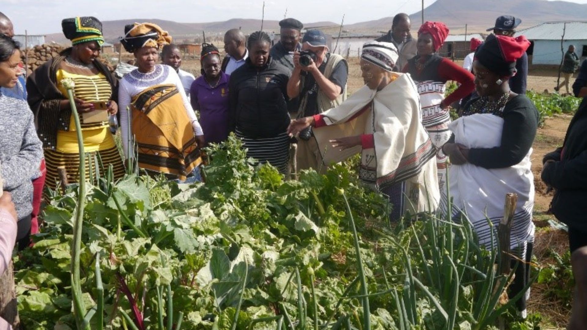 Local Communities Adopt Green Farming Practices