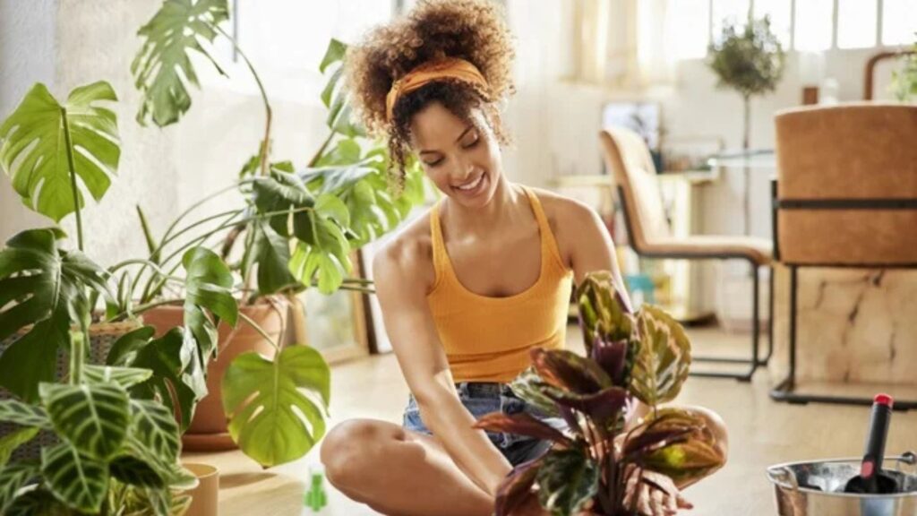 Mental Health Boosted By Indoor Plants