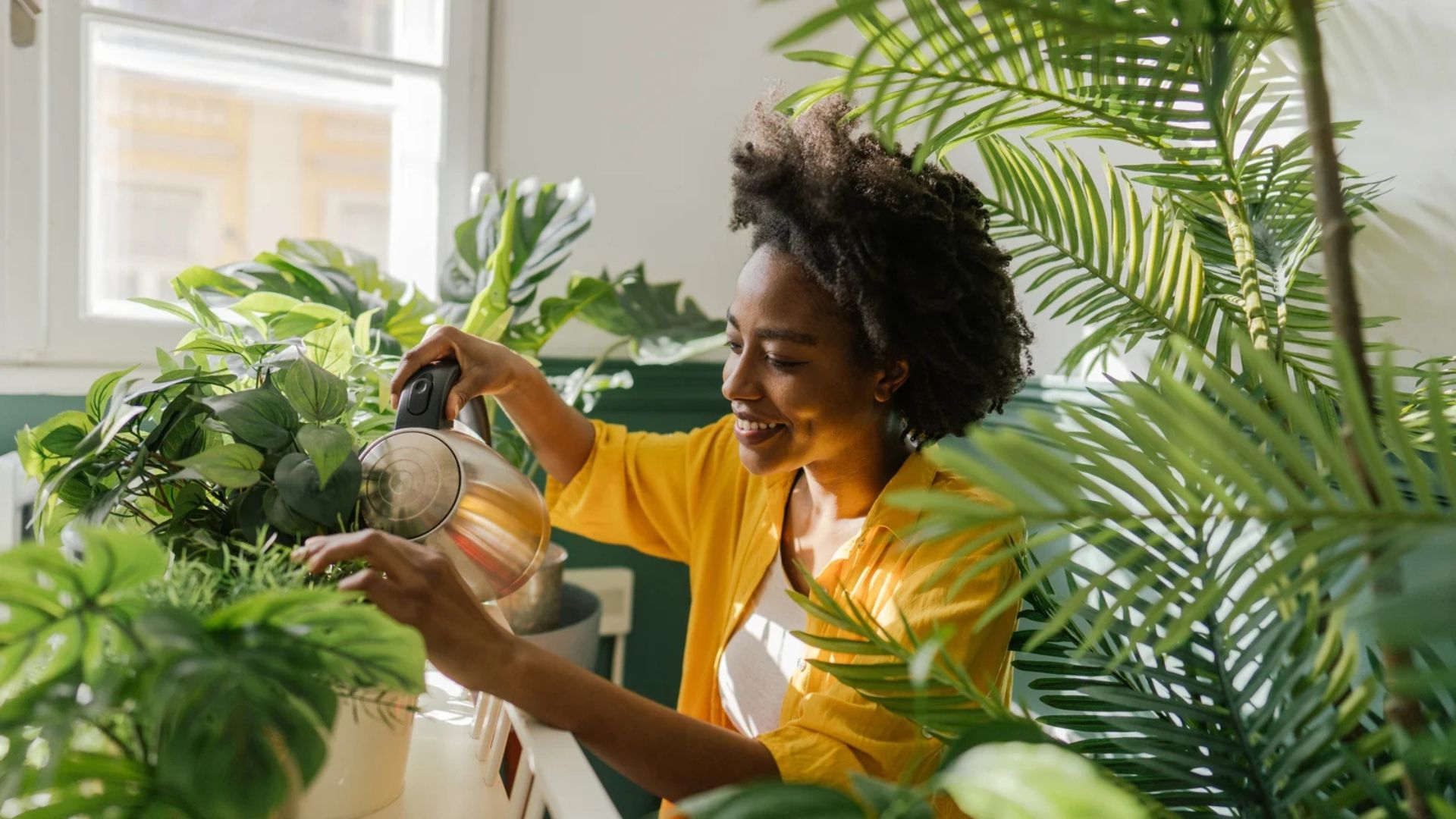 Mental Health Boosted By Indoor Plants