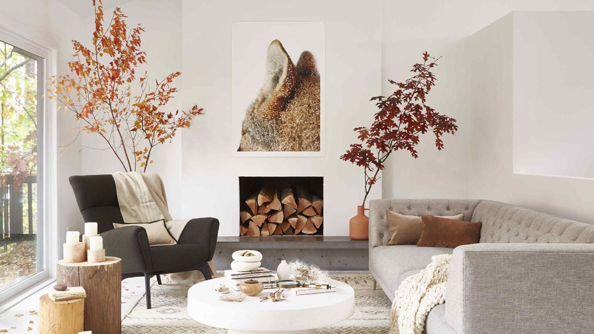 Minimalist Spaces Enhanced Through Decorations