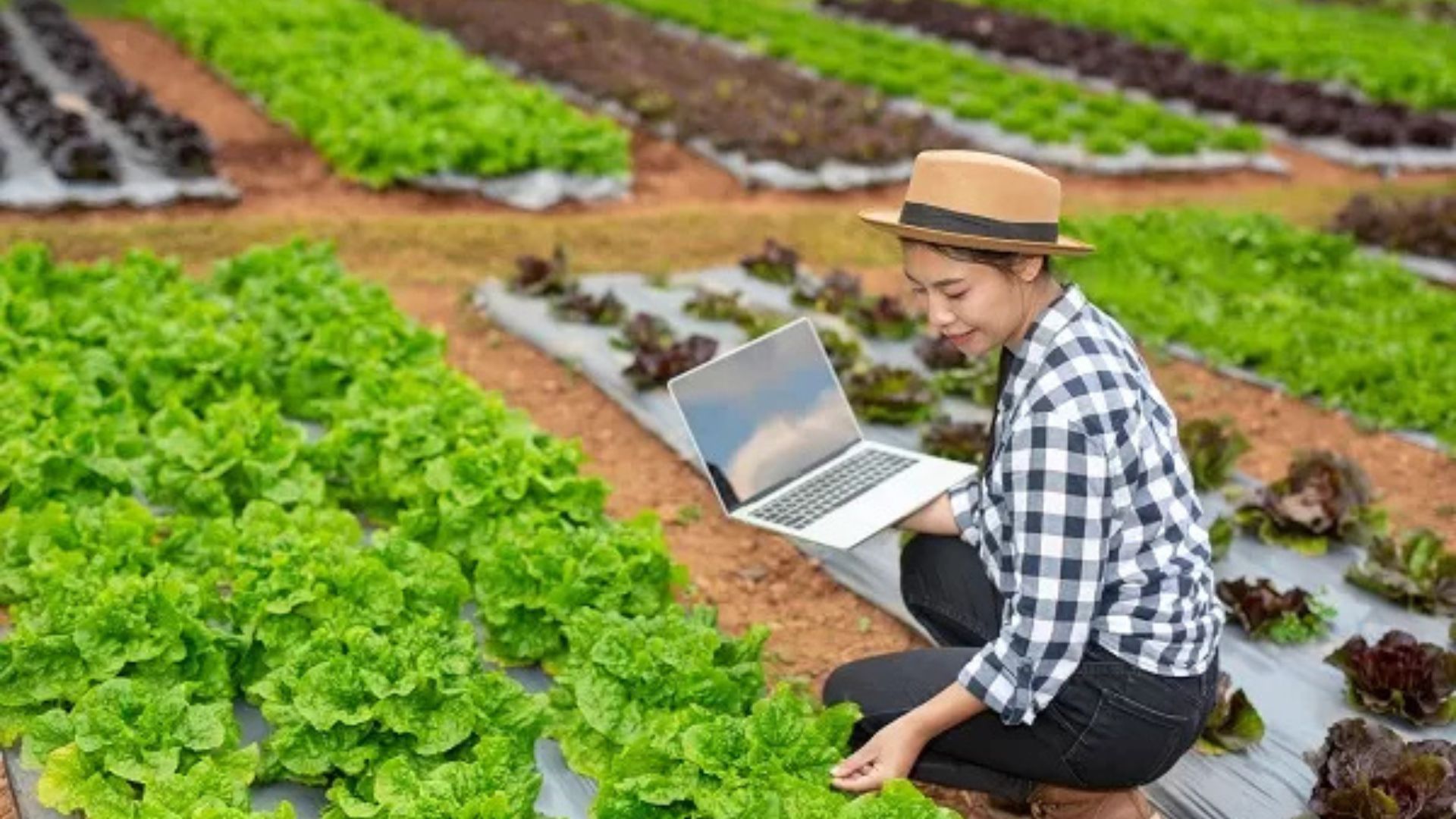 Modern Tools Improve Green Farming