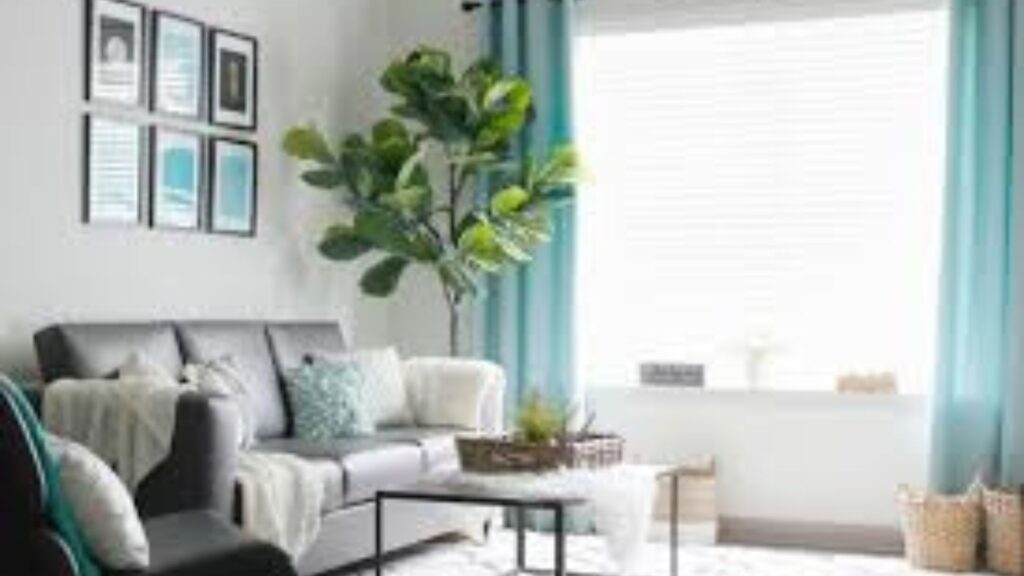 Modern decor on a budget.