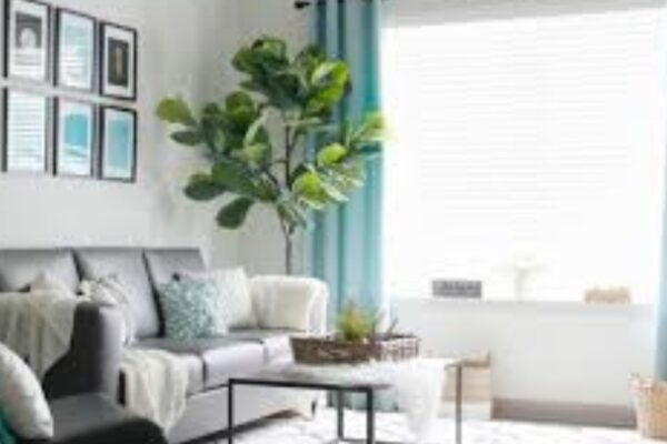 Modern decor on a budget.