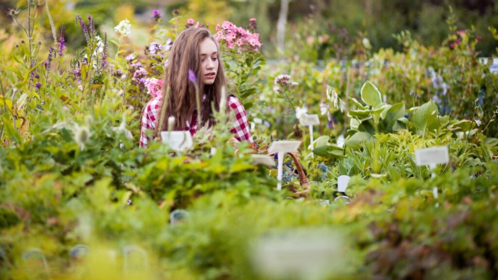 Nursery Marketing Ideas to Boost Local Sales (1)