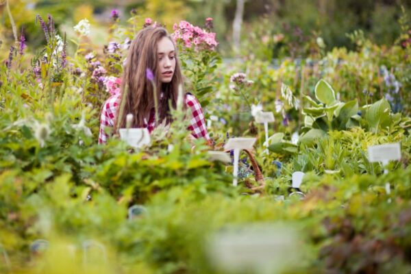 Nursery Marketing Ideas to Boost Local Sales (1)