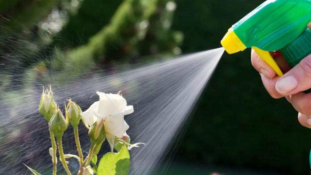 Nursery Pest Control Stay Safe.