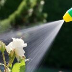 Nursery Pest Control Stay Safe.