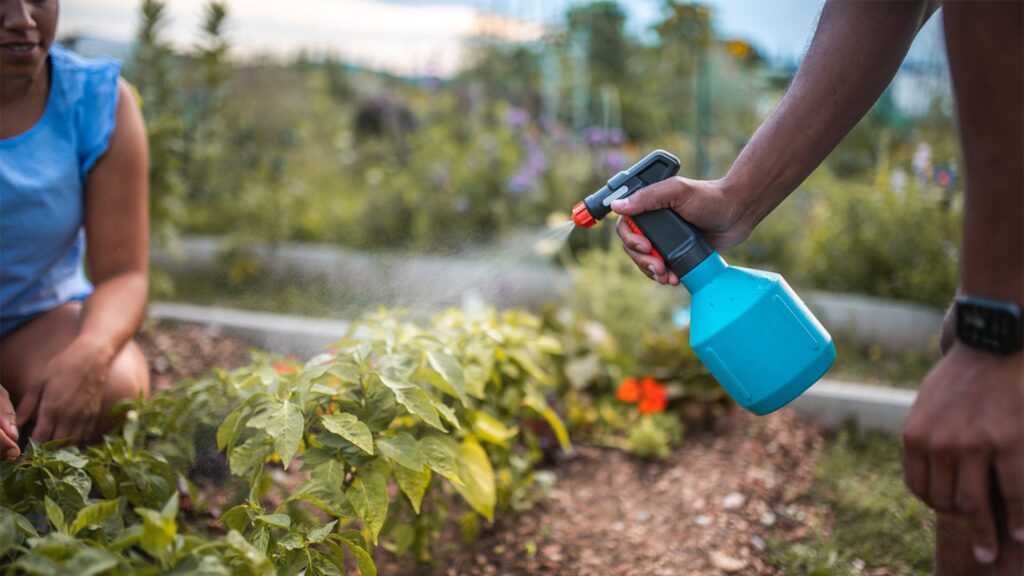 Organic Pest Control Solutions for Plant Nurseries