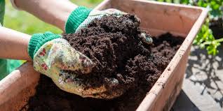 Organic fertilizers for nurseries
