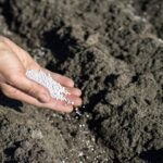 Organic fertilizers that boost growth.