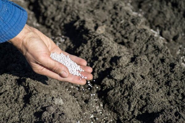 Organic fertilizers that boost growth Organic fertilizers that boost growth.