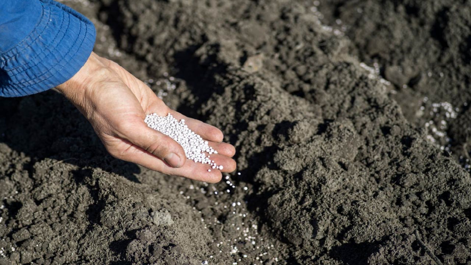 Organic fertilizers that boost growth.