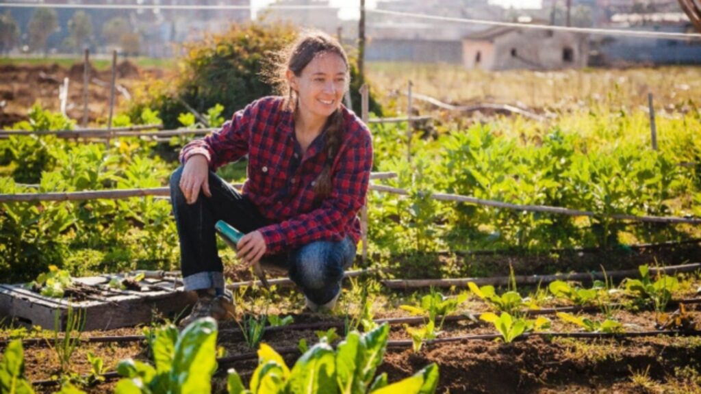 Organic vs. Green Farming What’s the Real Difference (3)