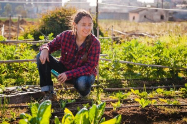 Organic vs. Green Farming What’s the Real Difference (3)