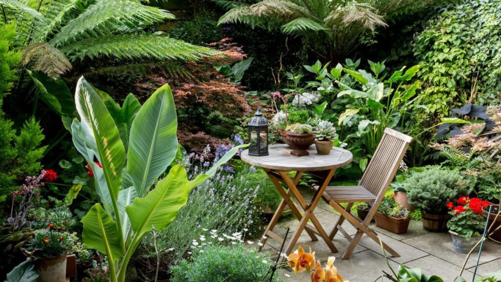 Outdoor plants for small yards