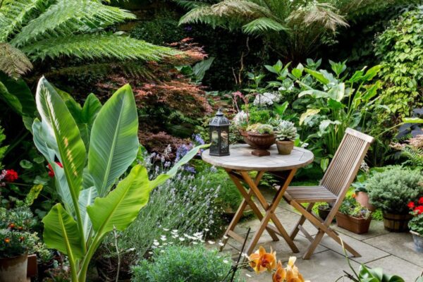 Outdoor plants for small yards