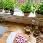 Herbs for your kitchen
